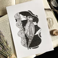 Image 2 of Originals - Batch 6