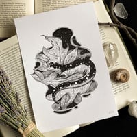 Image 4 of Originals - Batch 6
