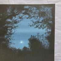 Image 3 of Full Moon on a Summer Evening