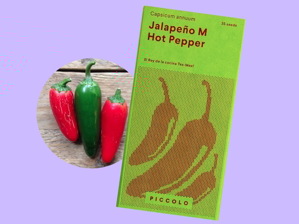 Image of SAATGUT Jalapeño M Hot Pepper