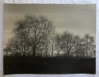 Image 2 of Twilight at Marsdon Estate