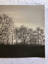 Image 4 of Twilight at Marsdon Estate