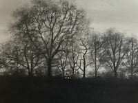 Image 1 of Twilight at Marsdon Estate