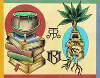 Image 1 of The whole shabang 