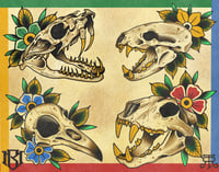 Image 4 of The whole shabang 