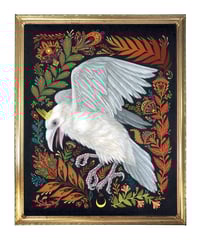 Image 3 of Rude Bones and Crude Bones in vintage frames