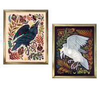 Image 1 of Rude Bones and Crude Bones in vintage frames
