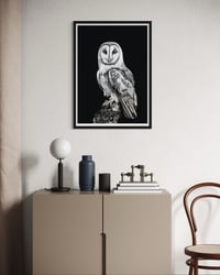 Image 2 of The Owls Are Not What they Seem