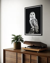 Image 3 of The Owls Are Not What they Seem