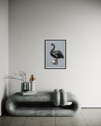 Image 2 of Black Swan