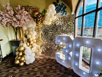 Image 1 of Gold Sequin Wall