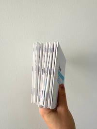 Image 2 of Limited: Salary Cat risograph zine