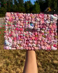 MacBook junk case 