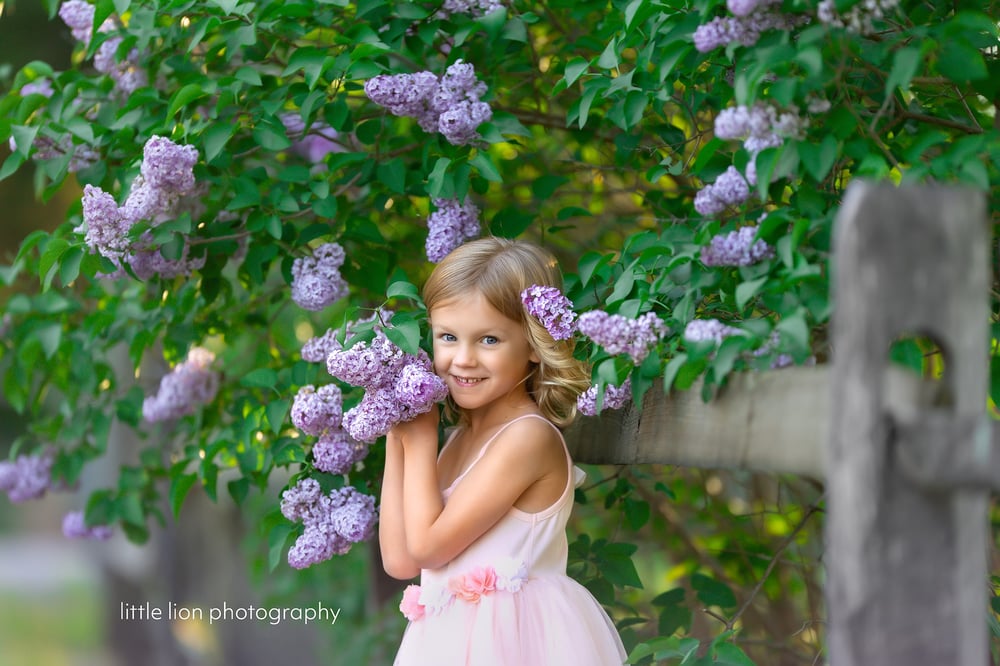 Image of Moments (Mini) Session