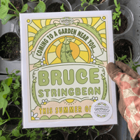 Image 3 of BRUCE STRINGBEAN - GROOVIN' IN THE GARDEN