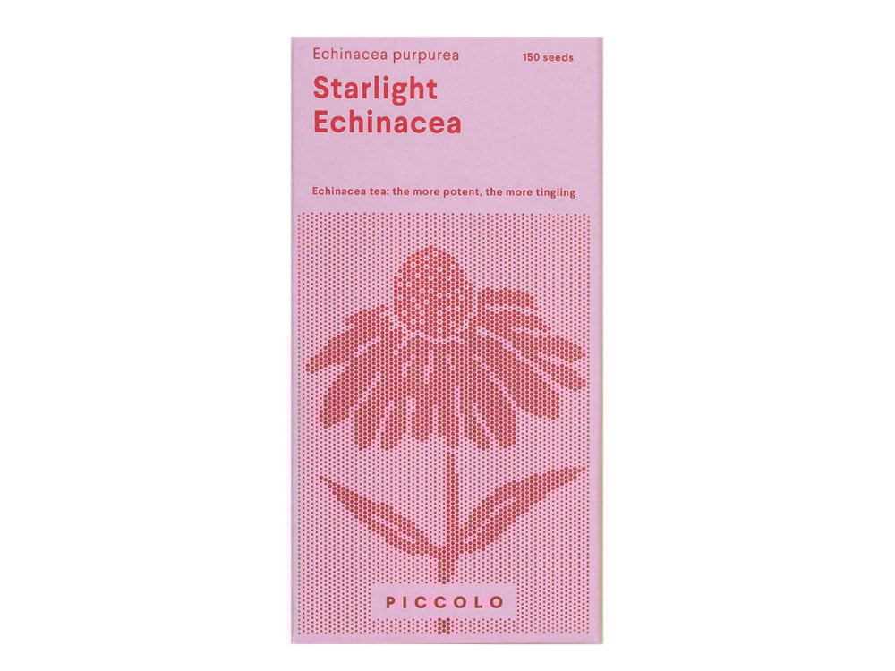 Image of SAATGUT Starlight Echinacea