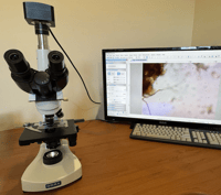 Biological Assessment