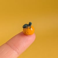 Image 2 of tangerine