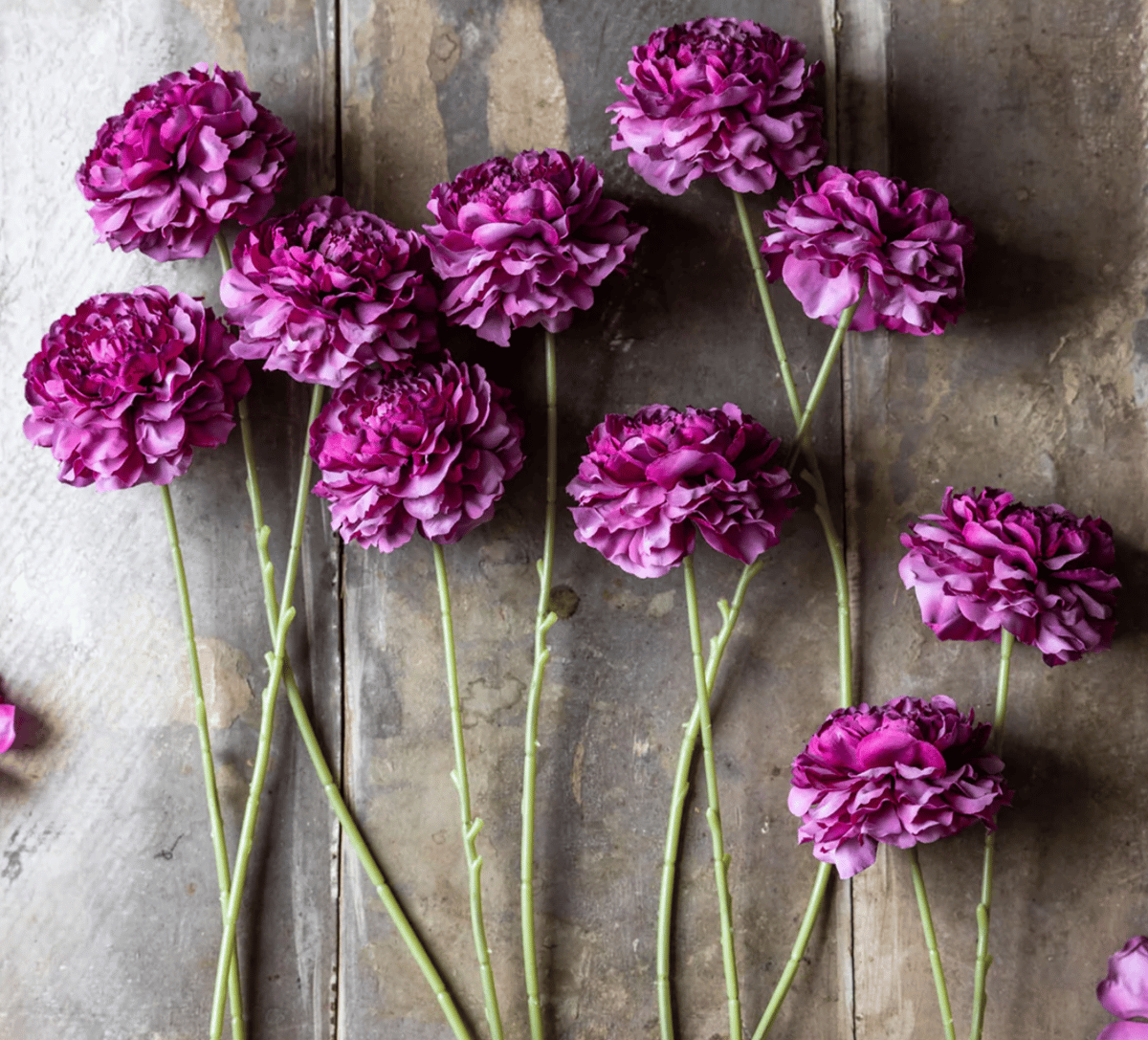 Image of Faux Flowers- Part 4-New Drop