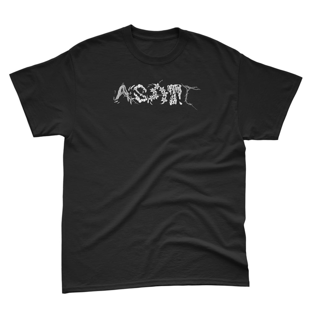 Image of asatt s25