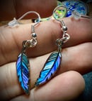 Image 5 of JAM & JONES DEAD CATCHERS