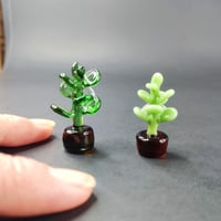 Image 1 of Tiny houseplants & acorn