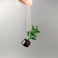Image 4 of Tiny houseplants & acorn