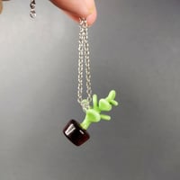 Image 5 of Tiny houseplants & acorn
