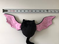 Image 7 of Charles the Cat Bat