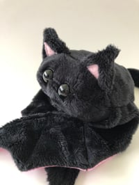Image 3 of Charles the Cat Bat