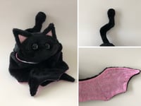 Image 1 of Charles the Cat Bat