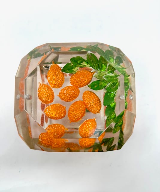 Image of Large Painted Kumquats Box- New Emerald Shape!