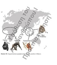 Image 9 of Η Υπόθεση του Αιγαιανθρώπου Ι