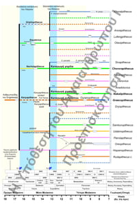 Image 12 of Η Υπόθεση του Αιγαιανθρώπου Ι