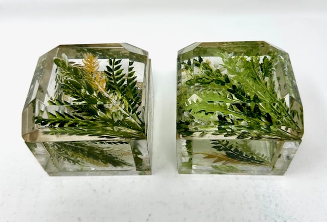 Image of Painted Jumbo Minis- Herb Boxes- custom order