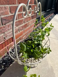 Image 2 of Metal Basket with handle