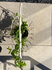 Image 3 of Metal Basket with handle