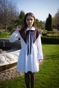 Image 5 of Tartan Storm Shield