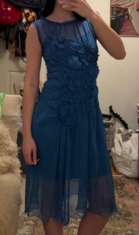 Image 6 of alberta ferretti dress
