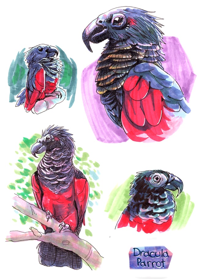 5"x7" Critter Prints