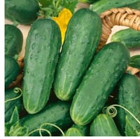 Image 1 of Fresh Vegetables 