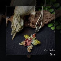 Image 1 of ☽ Orchidea ☾