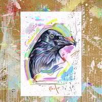 Image 1 of Carrion Crow- Fine art print in A4 or A5