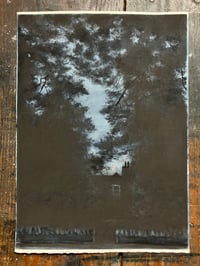Image 2 of House Between the Pines