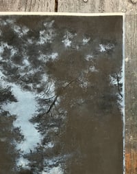 Image 5 of House Between the Pines