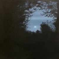 Image 1 of Full Moon on a Summer Evening