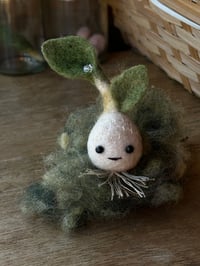 Garden Spirit
