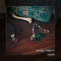 Image 1 of ☽ Syringa Lepida ☾