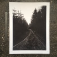 Image 1 of Keep Going (forest road) print