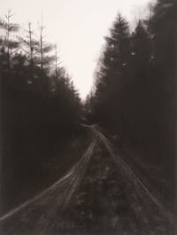 Image 2 of Keep Going (forest road) print
